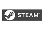 Connexion Steam